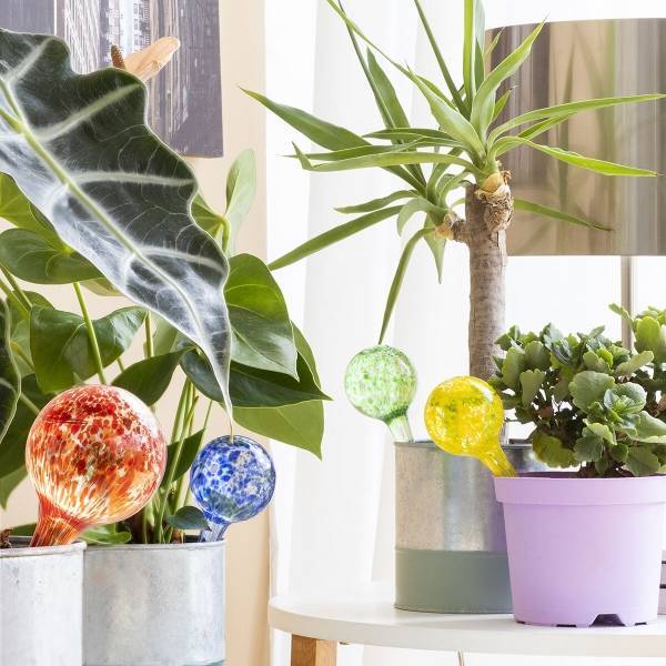 Automatic Plant Watering Globes Ballwooters (4 Units)